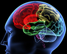 New FTU Course: Are You Using Your Brain?