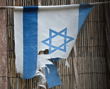 FTU Course: Should We Ally with Israel?