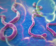 What Does Ebola Say About the American People?