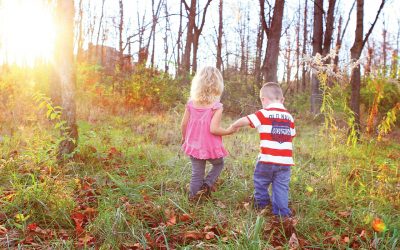 Are Boys and Girls Brains Really Different?