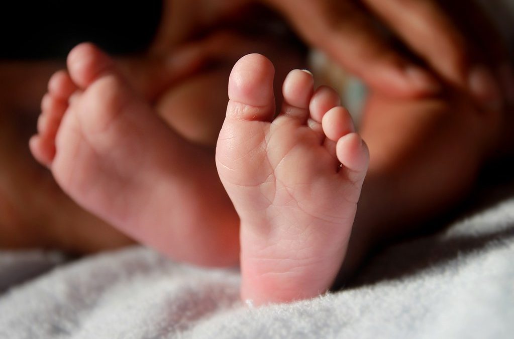 Fertility rate: ‘Jaw-dropping’ global crash in children being born
