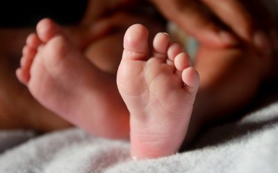 Fertility rate: ‘Jaw-dropping’ global crash in children being born